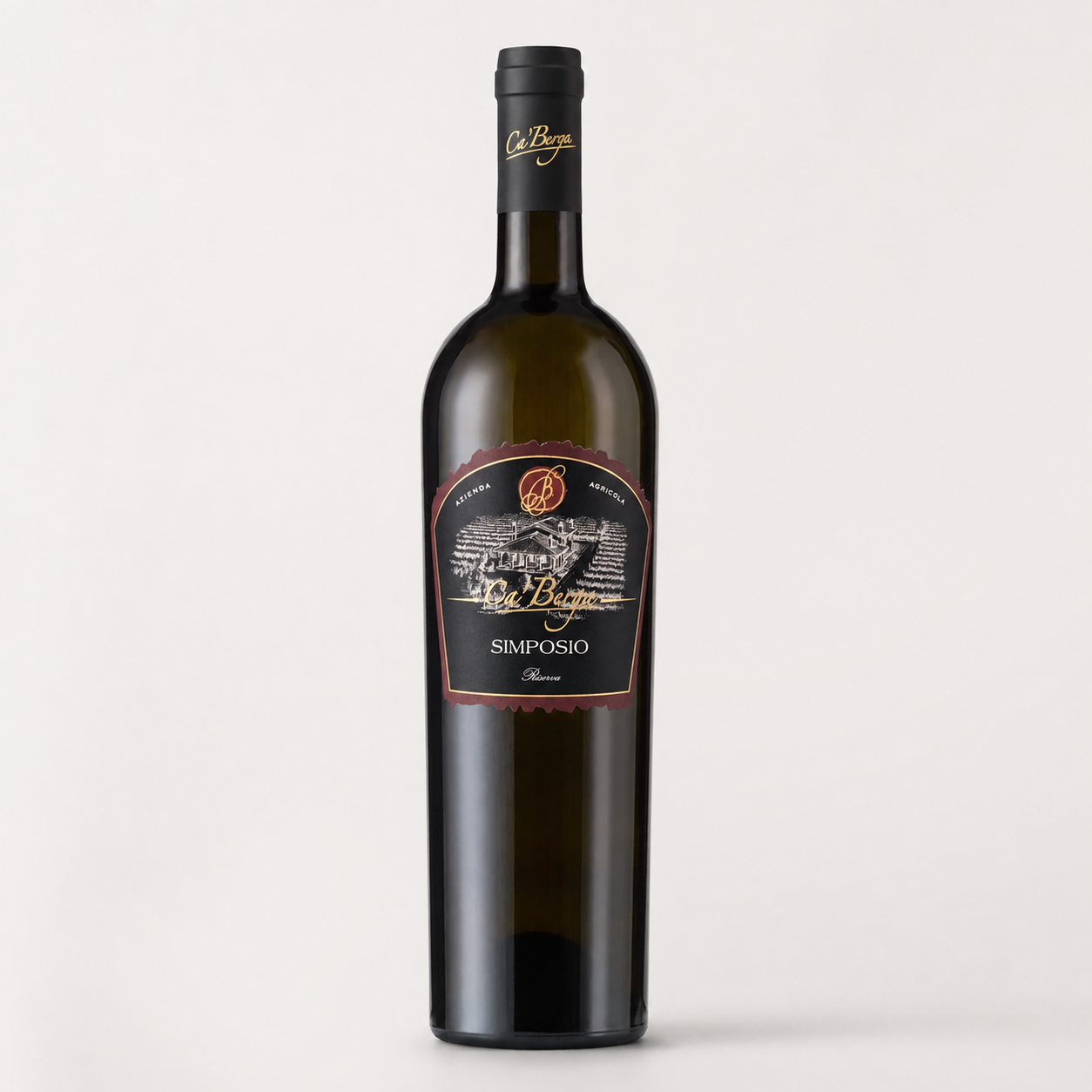 Ca' Berga Simposio Merlot IGT Veneto, bottiglia 0,75 l