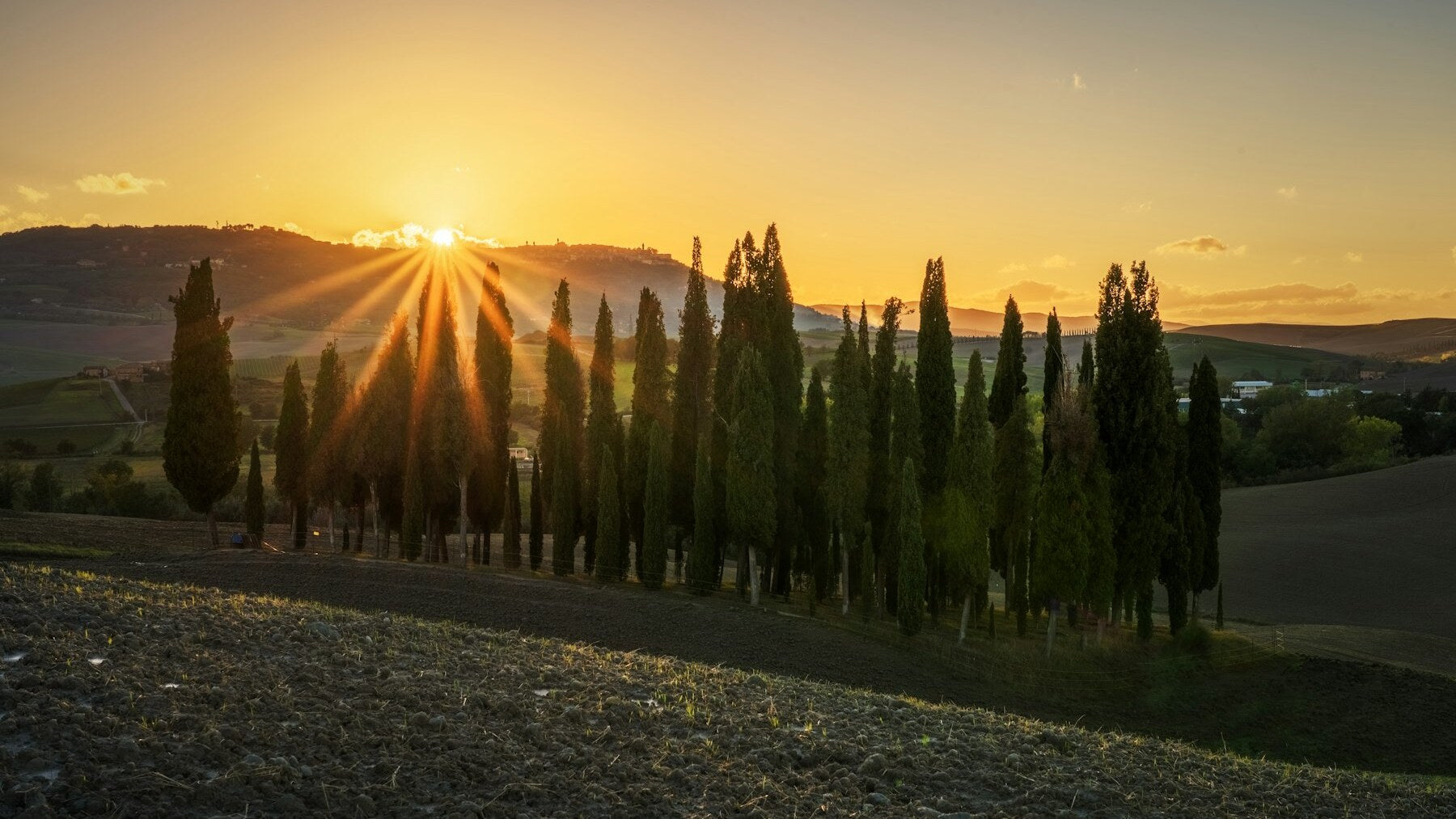 Paesaggio vitivinicolo toscano al tramonto